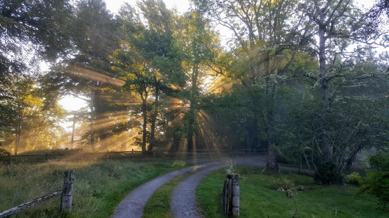 Glentruim Homestay B&B And Glamping Pods Newtonmore Zewnętrze zdjęcie