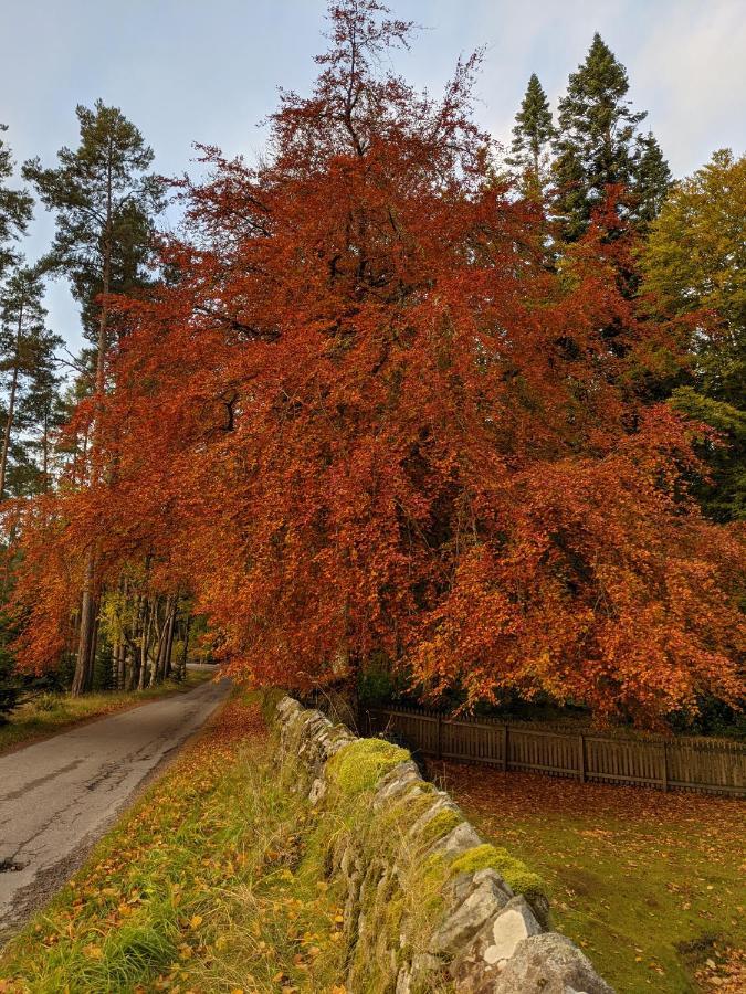 Glentruim Homestay B&B And Glamping Pods Newtonmore Zewnętrze zdjęcie